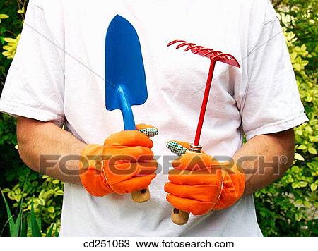 contemporary, day, detail, garden View Large Photo Image Stock Image - contemporary, day, detail, garden. Fotosearch