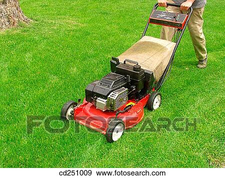 contemporary, garden, day, activity View Large Photo Image Stock Photo - contemporary, garden, day, activity. Fotosearch