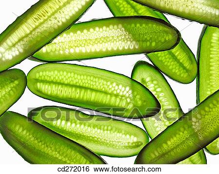 Cucumber View Large Photo Image Stock Photograph - Cucumber. Fotosearch