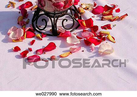 Flower pedals on pink table cloth. Boise, Idaho. USA View Large Photo Image Stock Image - Flower pedals on pink table cloth. Boise, Idaho. USA. Fotosearch