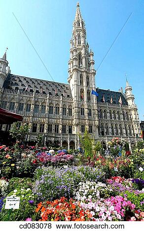 Grand Place, Grote Markt. Brussels. Belgium View Large Photo Image Stock Photo - Grand Place, Grote Markt. Brussels. Belgium. Fotosearch