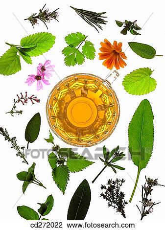 Herbal tea View Large Photo Image Stock Image - Herbal tea. Fotosearch