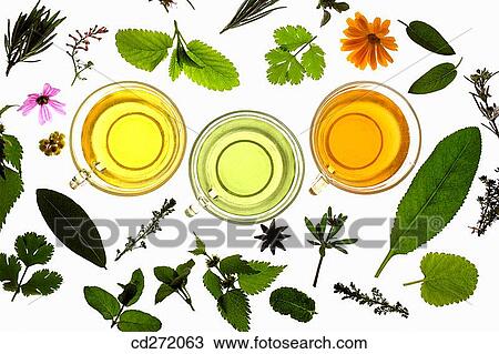 Stock Image - Herbal tea. Fotosearch