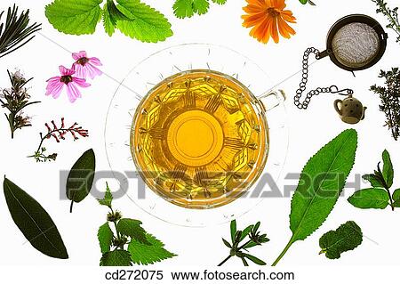 Herbal tea View Large Photo Image Stock Photography - Herbal tea. Fotosearch