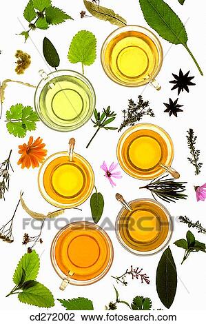 Herbal teas View Large Photo Image Stock Image - Herbal teas. Fotosearch
