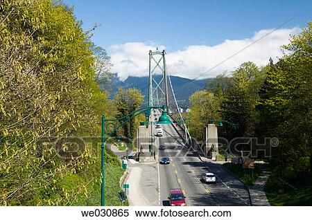 Lions Gate Bridge, Stanley Park. Vancouver. British Columbia, Canada View Large Photo Image Stock Photography - Lions Gate Bridge, Stanley Park. Vancouver. British Columbia, Canada. Fotosearch
