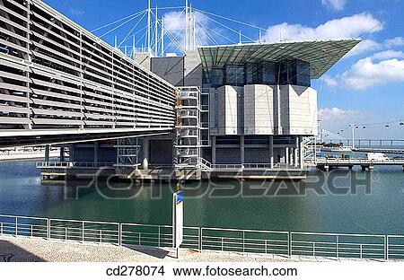 Lisbon Oceanarium, Parque das Na??es. Lisbon, Portugal View Large Photo Image Picture - Lisbon Oceanarium, Parque das Na??es. Lisbon, Portugal. Fotosearch