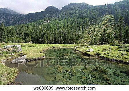 Stock Photo - Mountain-river? Riekenbach?, Zandlacher Boden, Reisseck near Kolbnitz, M÷lltal, Carinthia, Austria, Europe. Fotosearch