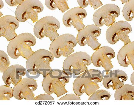 Mushrooms View Large Photo Image Stock Photo - Mushrooms. Fotosearch