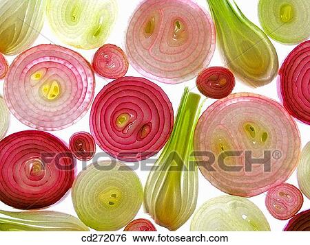 Stock Photograph - Onions. Fotosearch