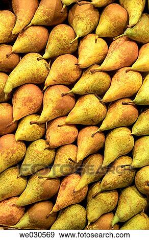 Pears View Large Photo Image Stock Photo - Pears. Fotosearch