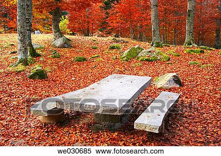 Picnic area in beechwood. Pyrenees Mountains region, Alta Ribagor? a. Catalonia, Spain View Large Photo Image Stock Photography - Picnic area in beechwood. Pyrenees Mountains region, Alta Ribagor? a. Catalonia, Spain. Fotosearch