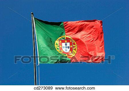 Portuguese flag View Large Photo Image Stock Photo - Portuguese flag. Fotosearch