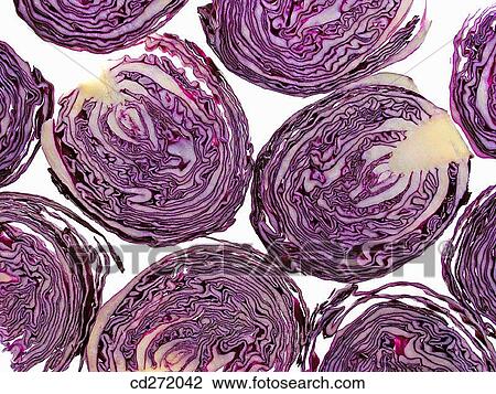 Red cabbage View Large Photo Image Stock Image - Red cabbage. Fotosearch