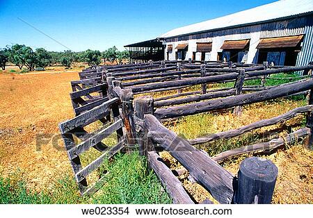 Rural sheep shearing shed and pens, Outback Australia View Large Photo Image Picture - Rural sheep shearing shed and pens, Outback Australia. Fotosearch