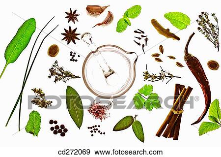 Spices and aromatic herbs View Large Photo Image Stock Photo - Spices and aromatic herbs. Fotosearch