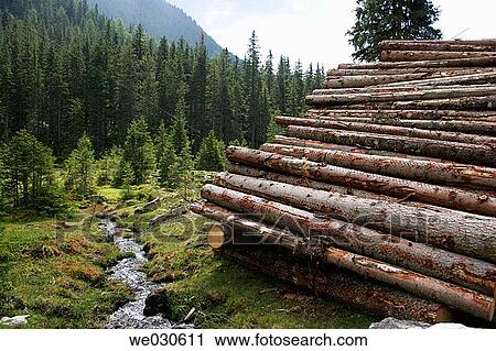Stacked timber, Zandlacher Boden, Reisseck near Kolbnitz, M÷lltal, Carinthia, Austria, Europe View Large Photo Image Stock Image - Stacked timber, Zandlacher Boden, Reisseck near Kolbnitz, M÷lltal, Carinthia, Austria, Europe. Fotosearch