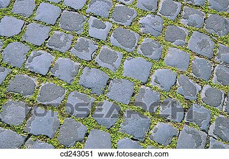 Trastevere. Rome. Italy View Large Photo Image Stock Image - Trastevere. Rome. Italy. Fotosearch