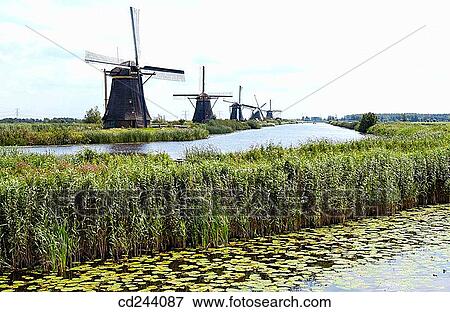 Windmills. Kinderdijk. Netherlands View Large Photo Image Stock Photo - Windmills. Kinderdijk. Netherlands. Fotosearch