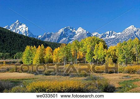 A view of the Grand Teton Mountains from the Oxbow bend of the Snake River, Wyoming, USA View Large Photo Image Stock Image - A view of the Grand Teton Mountains from the Oxbow bend of the Snake River, Wyoming, USA. Fotosearch