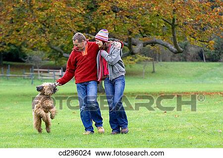 Picture - animal, autumn, 30's. Fotosearch