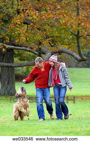 animal, autumn, 30's View Large Photo Image Stock Photograph - animal, autumn, 30's. Fotosearch