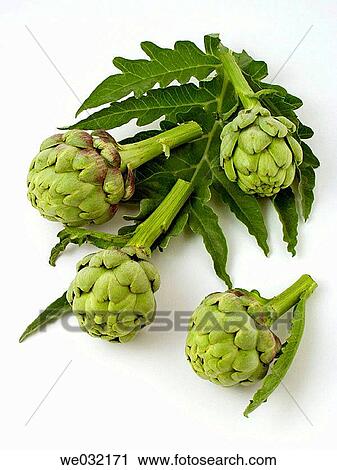 Stock Image - Artichokes. Fotosearch