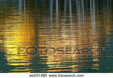 Autumn forest reflections View Large Photo Image Stock Photo - Autumn forest reflections. Fotosearch