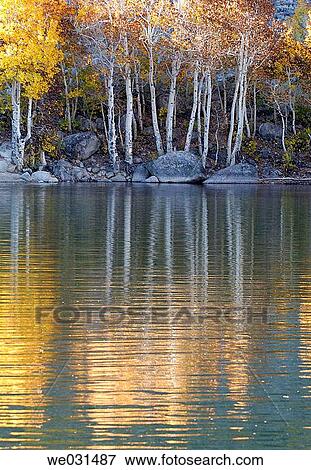 Autumn reflections View Large Photo Image Stock Photo - Autumn reflections. Fotosearch