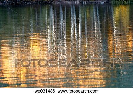 Stock Photograph - Autumn reflections. Fotosearch