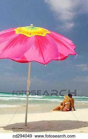 back view, beach, calm View Large Photo Image Stock Photo - back view, beach, calm. Fotosearch