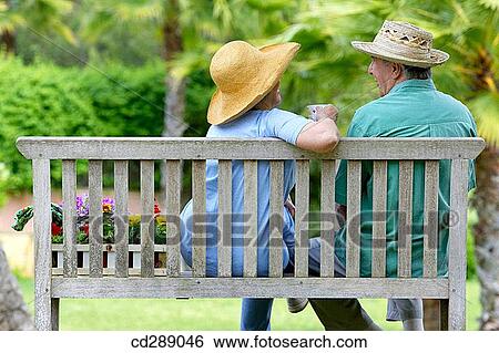 back view, bench, calm, chat View Large Photo Image Stock Photograph - back view, bench, calm, chat. Fotosearch