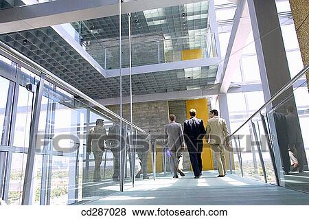 back view, business, businessman, businesspeople, colleague View Large Photo Image Stock Photo - back view, business, businessman, businesspeople, colleague. Fotosearch