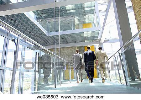 Stock Image - back view, businesspeople, businessman, business, 30's. Fotosearch