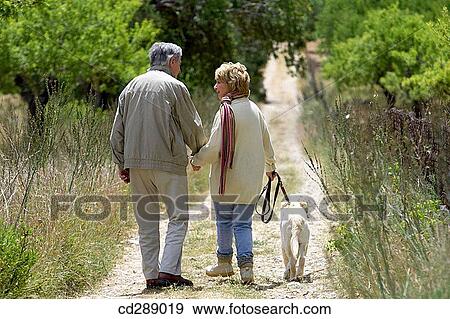 back view, calm, contemporary View Large Photo Image Stock Photo - back view, calm, contemporary. Fotosearch