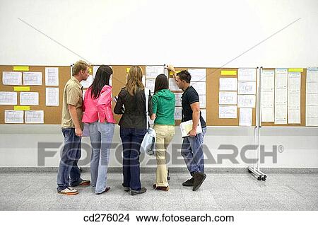 back view, college, Bulletin board, boy, adolescence View Large Photo Image Picture - back view, college, Bulletin board, boy, adolescence. Fotosearch