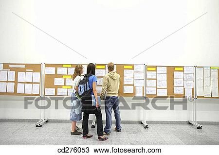 Stock Image - back view, college, Bulletin board, boy, adolescence. Fotosearch