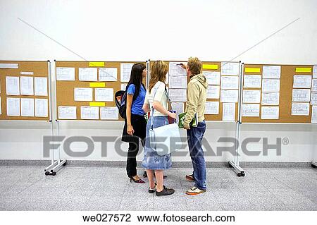 back view, college, Bulletin board, boy, adolescence View Large Photo Image Stock Image - back view, college, Bulletin board, boy, adolescence. Fotosearch