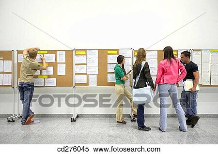 back view, college, Bulletin board, boy, adolescence View Large Photo Image Stock Photography - back view, college, Bulletin board, boy, adolescence. Fotosearch