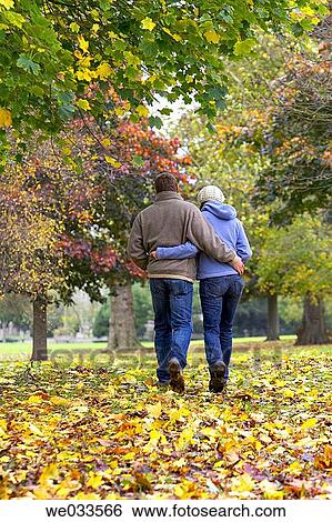 back view, contemporary, calm, autumn View Large Photo Image Stock Photograph - back view, contemporary, calm, autumn. Fotosearch