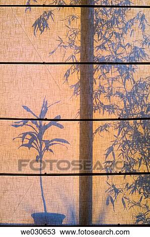 Stock Image - backlight, concept, curtain, day, indoors. Fotosearch