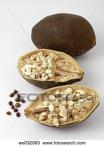 Baobab fruits and seeds View Large Photo Image Stock Image - Baobab fruits and seeds. Fotosearch