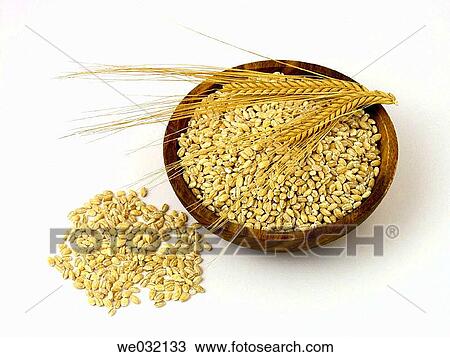 Barley View Large Photo Image Stock Image - Barley. Fotosearch