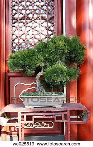 Beijing, China View Large Photo Image Stock Photo - Beijing, China. Fotosearch