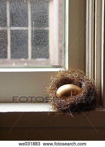 Bird Nest in Window View Large Photo Image Stock Image - Bird Nest in Window. Fotosearch