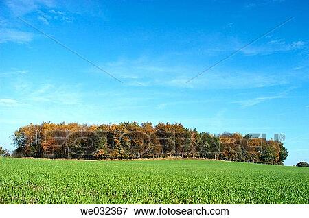 blue, blue sky, calm, country, day View Large Photo Image Stock Photo - blue, blue sky, calm, country, day. Fotosearch
