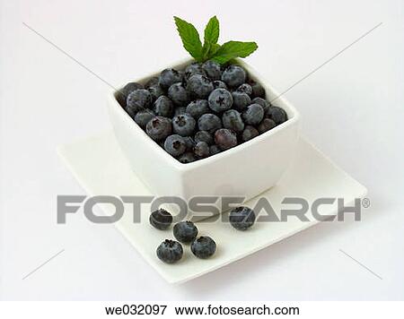 Blueberries (Vaccinium myrtillus) View Large Photo Image Stock Photo - Blueberries (Vaccinium myrtillus). Fotosearch