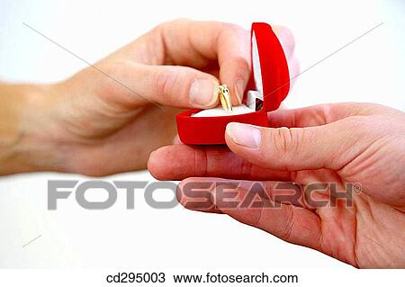 bond, bonding, Close-up, couple View Large Photo Image Stock Image - bond, bonding, Close-up, couple. Fotosearch