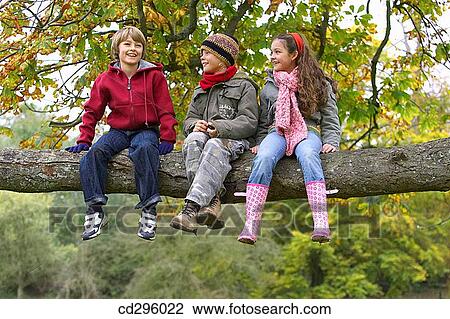 boy, chat, brother, branch, amusement View Large Photo Image Stock Image - boy, chat, brother, branch, amusement. Fotosearch