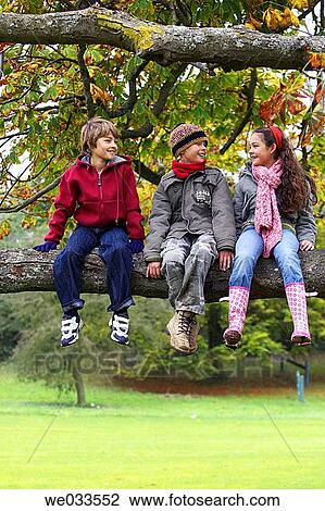 boy, chat, brother, branch, amusement View Large Photo Image Stock Image - boy, chat, brother, branch, amusement. Fotosearch